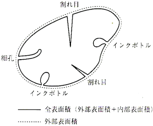 外部表面積